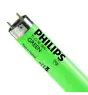 Philips MASTER TL-D 18W - Green | 60cm
